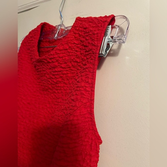 Zara Red Fit and Flare Dress Textured Fabric Size Extra Small - Picture 12 of 14